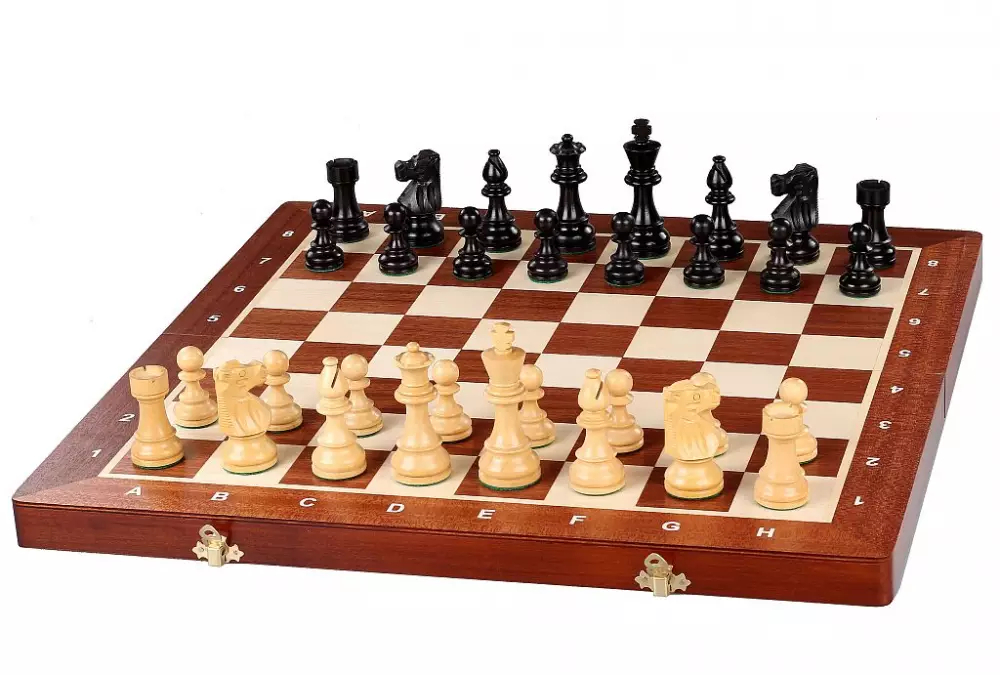 Torneo di scacchi francese di Staunton n. 4
