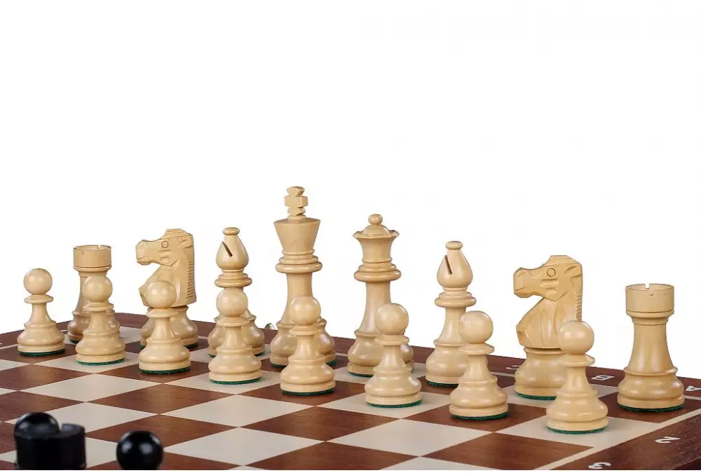 Torneo di scacchi francese di Staunton n. 4