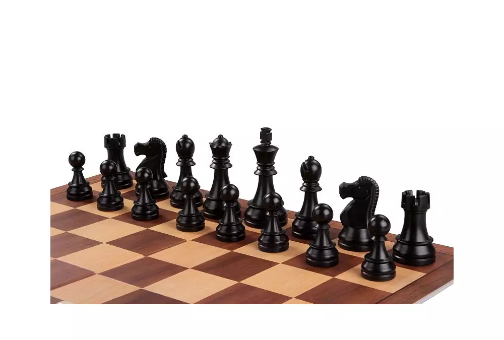 DGT Set di scacchi in scatola marrone