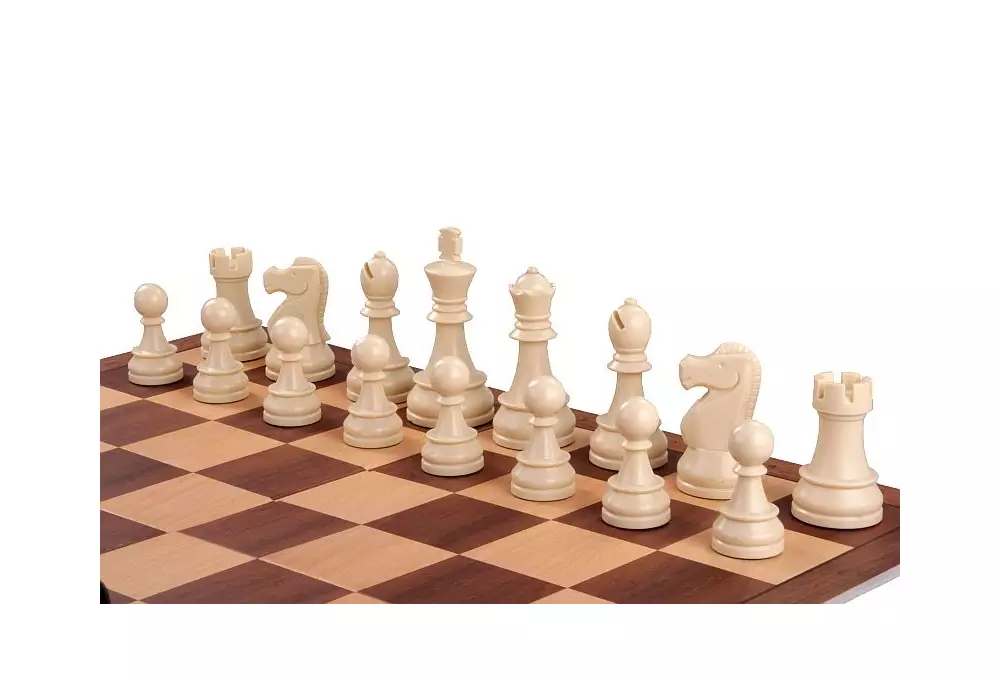 DGT Set di scacchi in scatola marrone