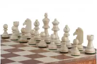 Torneo di scacchi n. 5 Sunrise III