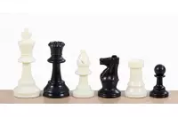 Set di scacchi junior (pezzi di plastica e scacchiera mobile)