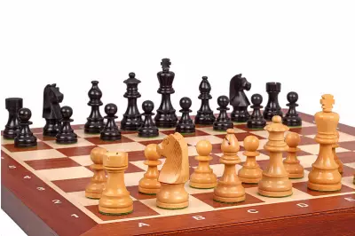 Torneo di scacchi tedesco di Staunton n. 5