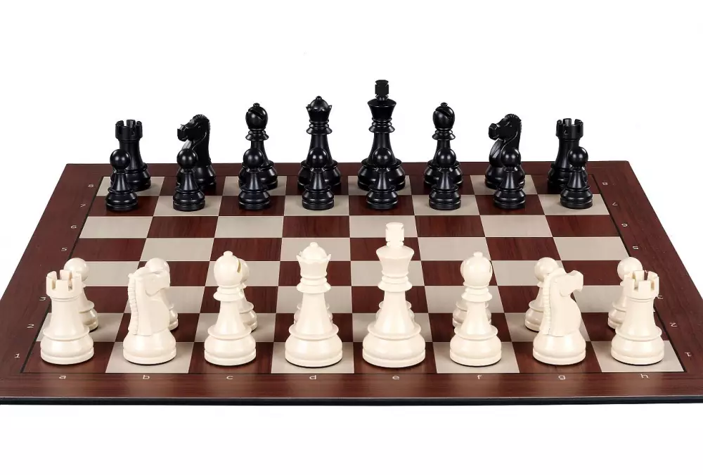 Set di scacchi elettronici DGT SMART - scacchiera + pezzi degli scacchi