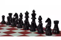 Set di scacchi da viaggio (figure in plastica + scacchiera rotante + borsa)