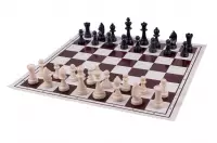 Scacchiera bifacciale: scacchi + 100 pedine da campo, bianche e marroni