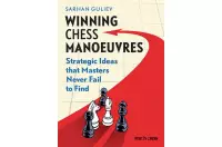 Manovre scacchistiche vincenti: Idee strategiche che i maestri non mancano mai di trovare